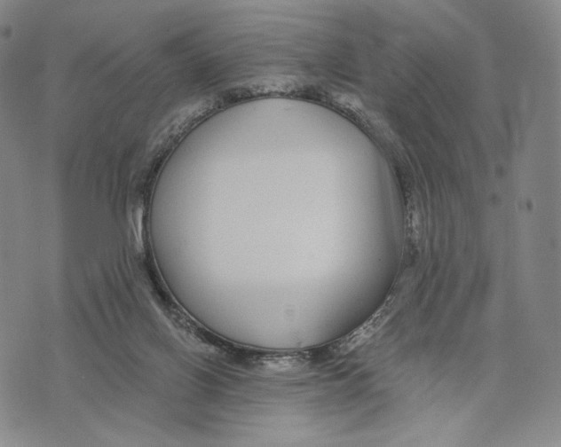 X0000073710070200608311805