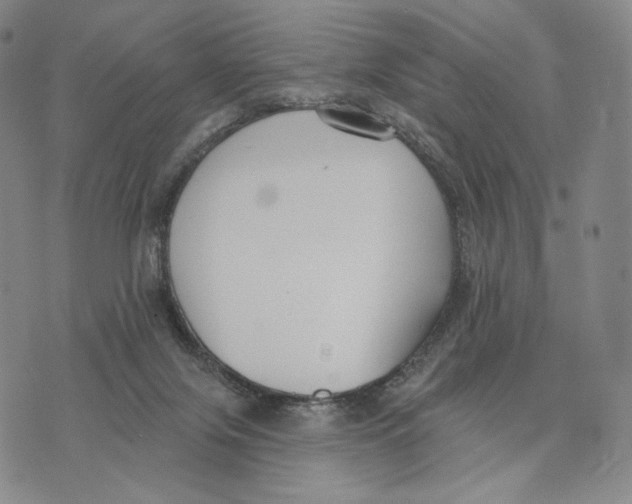 X0000073710071200608311805