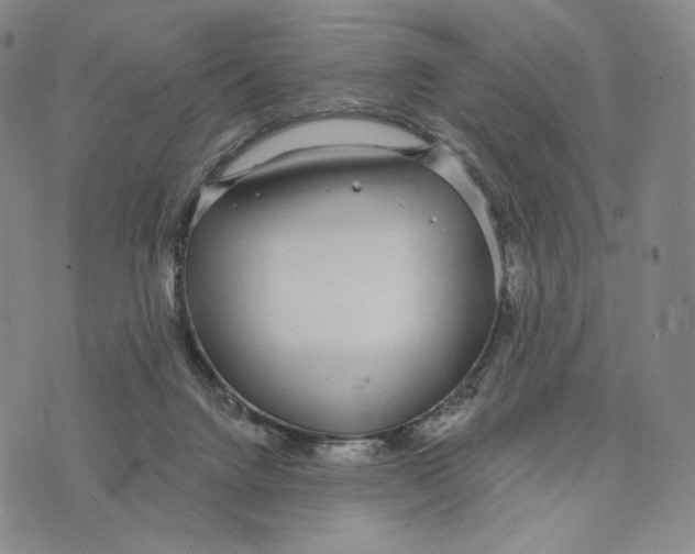 X0000073710072200608311805