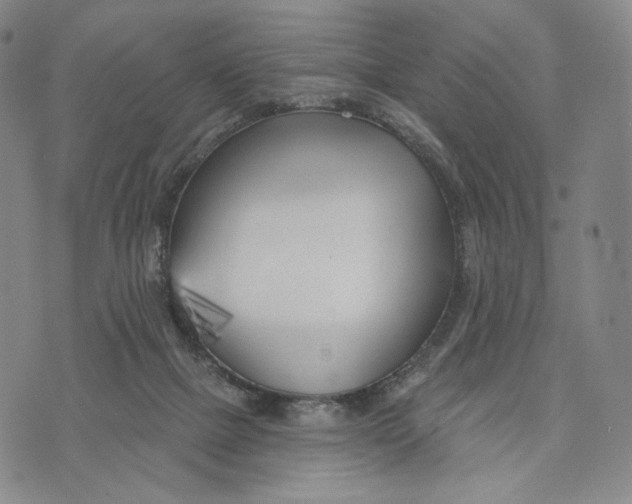 X0000073710073200608311805