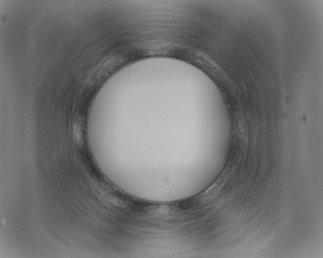 X0000073710074200608311805