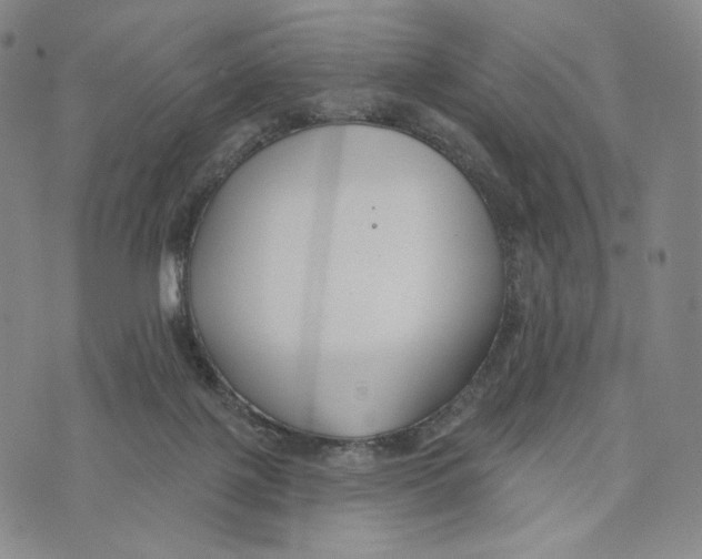 X0000073710075200608311805