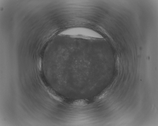 X0000073710076200608311805