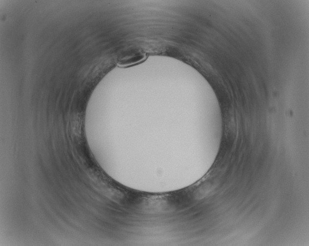 X0000073710078200608311805