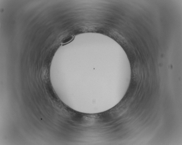 X0000073710079200608311805