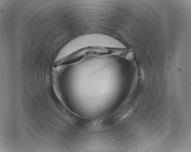 X0000073710080200608311805