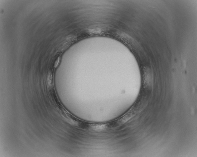 X0000073710081200608311805