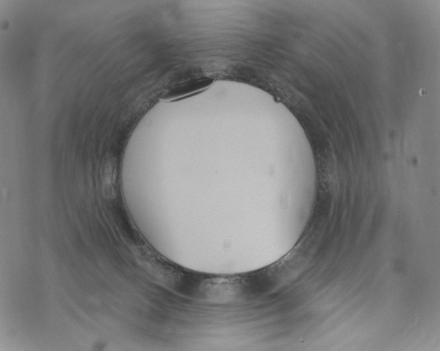 X0000073710082200608311805