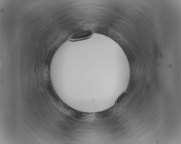 X0000073710083200608311805