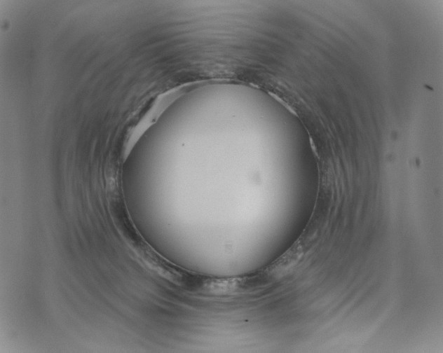 X0000073710084200608311805