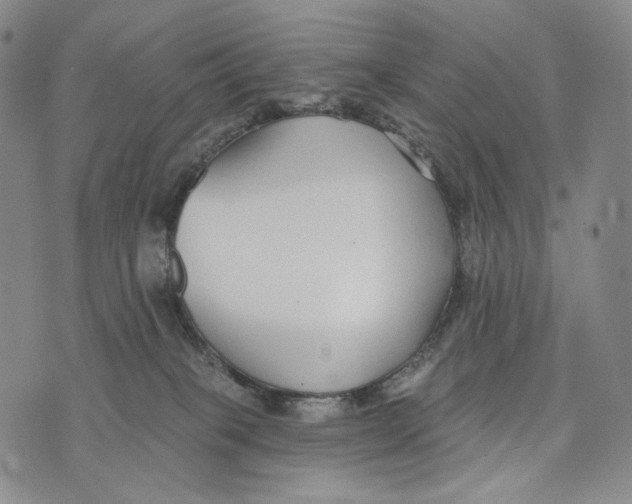 X0000073710085200608311805