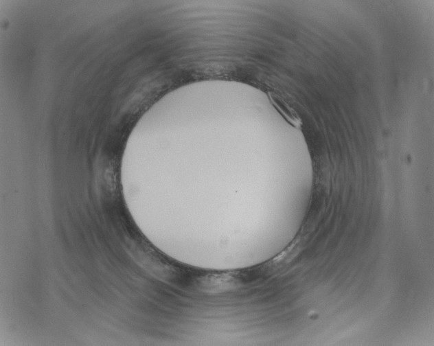 X0000073710086200608311805