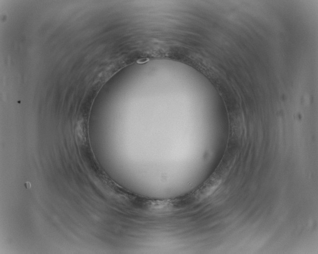 X0000073710088200608311805