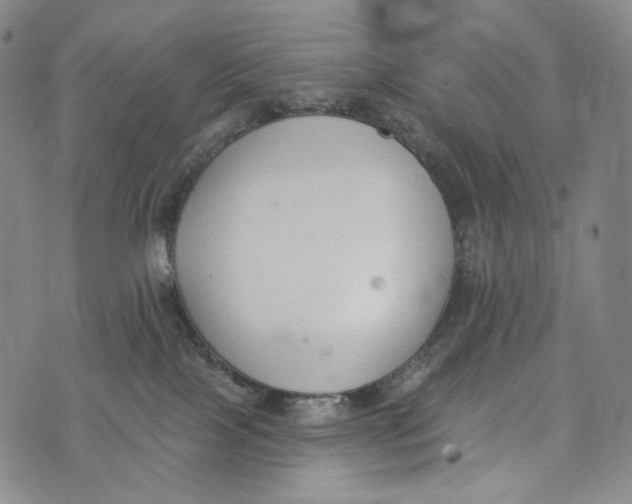 X0000073710089200608311805