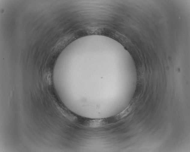 X0000073710090200608311805