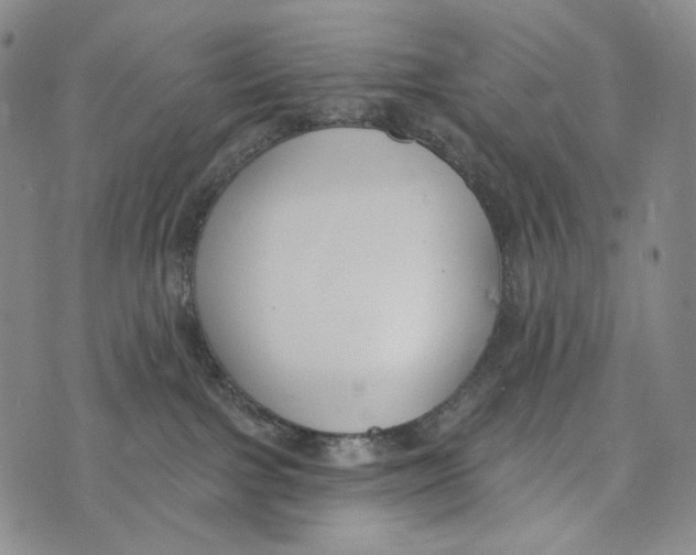 X0000073710091200608311805