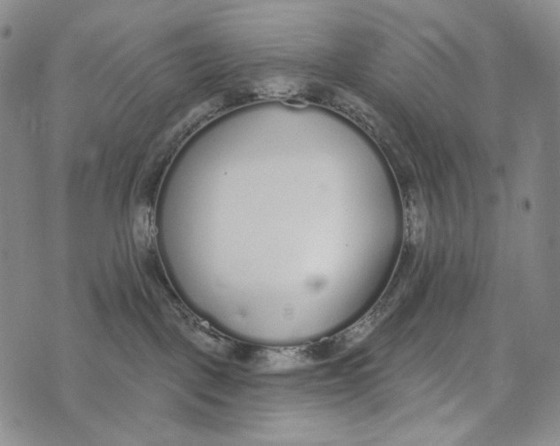 X0000073710093200608311805