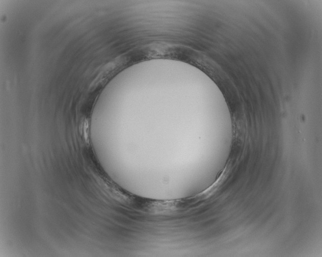 X0000073710094200608311805