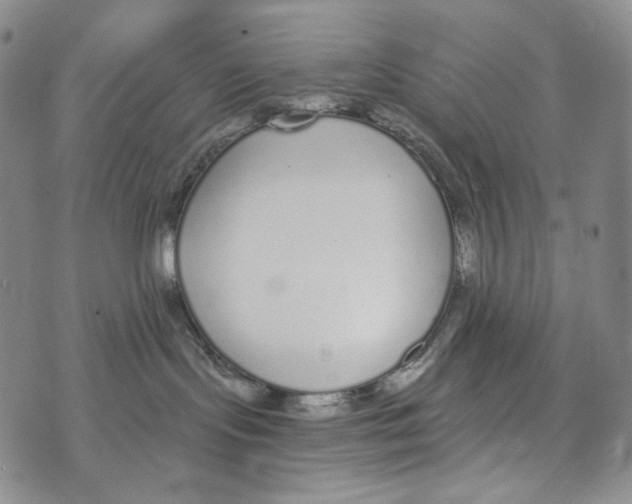 X0000073710095200608311805