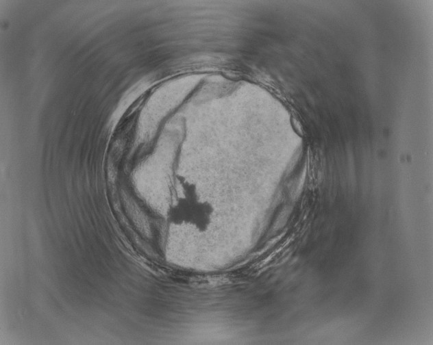 X0000073710099200608311804