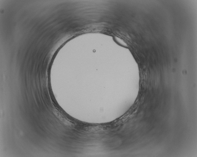 X0000073710100200608311804