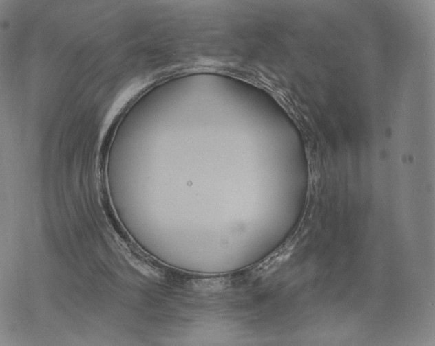 X0000073710102200608311804