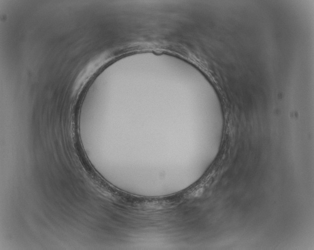 X0000073710103200608311804