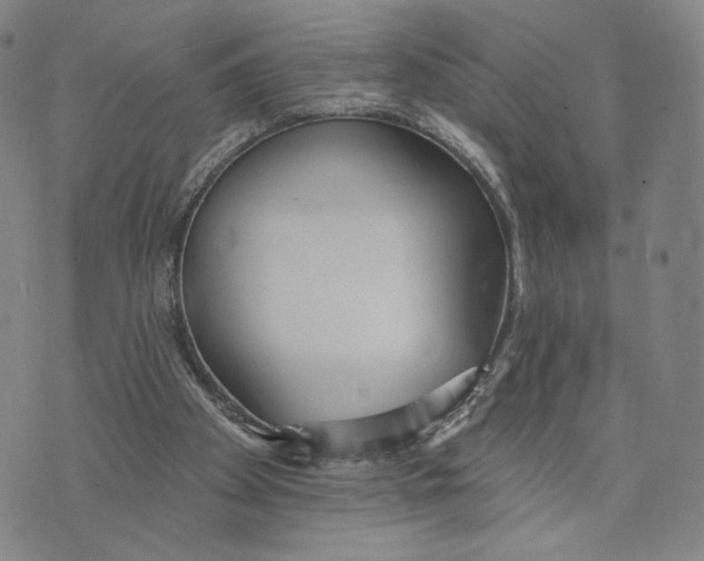 X0000073710105200608311804