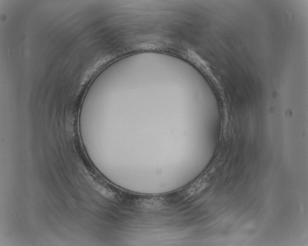 X0000073710106200608311804