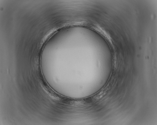 X0000073710107200608311804