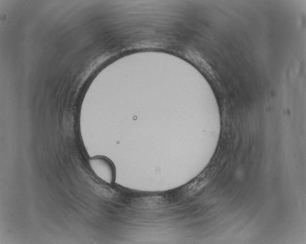 X0000073710108200608311804