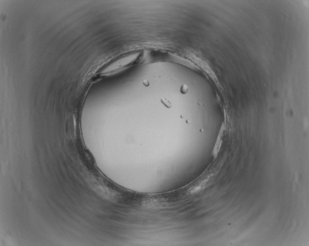 X0000073710109200608311804