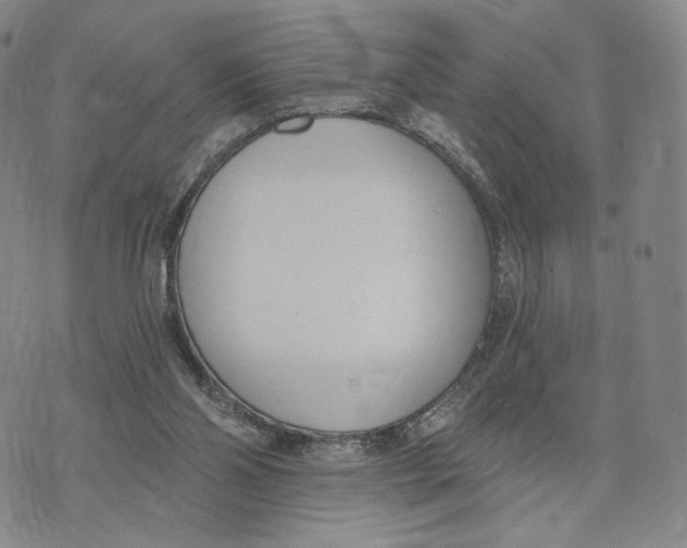 X0000073710110200608311804