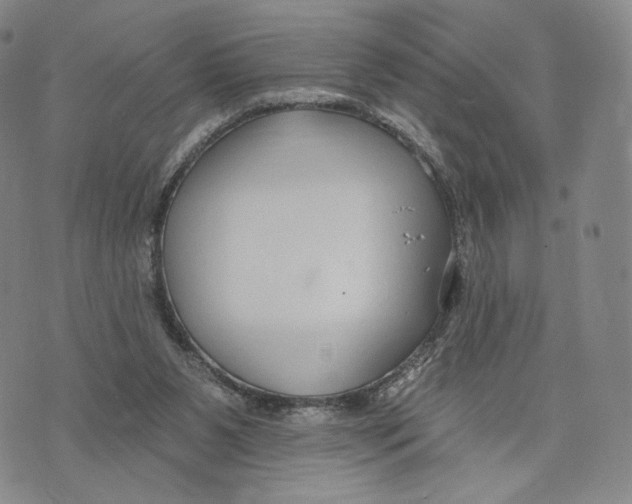 X0000073710111200608311804