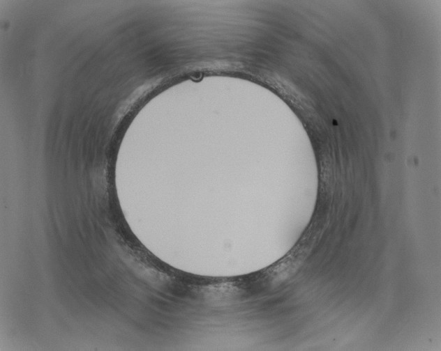 X0000073710112200608311804