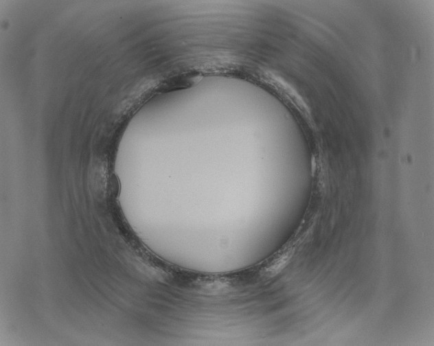 X0000073710113200608311804