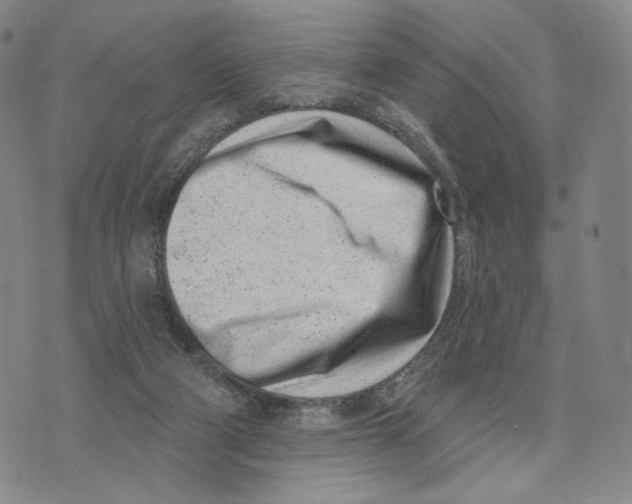 X0000073710114200608311804