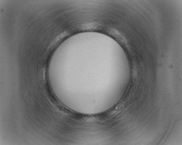 X0000073710115200608311804