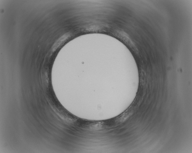 X0000073710116200608311804