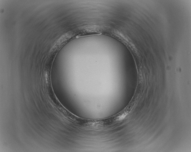 X0000073710117200608311804