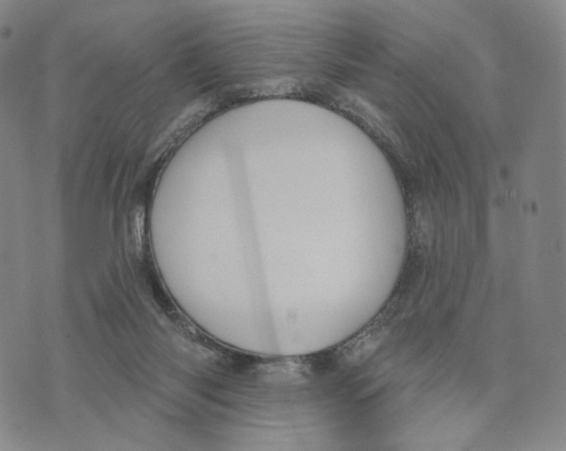 X0000073710118200608311804