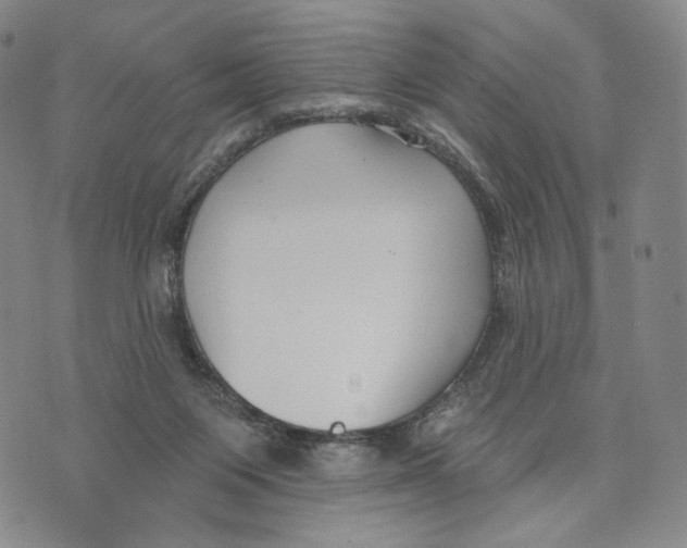 X0000073710119200608311804