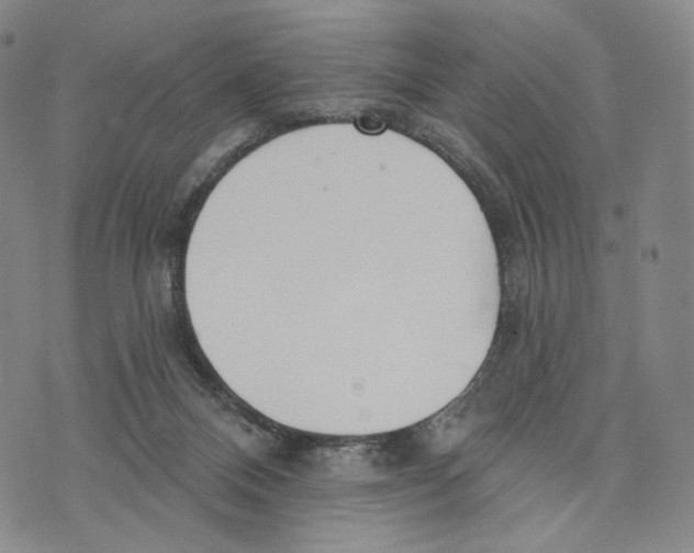 X0000073710120200608311804