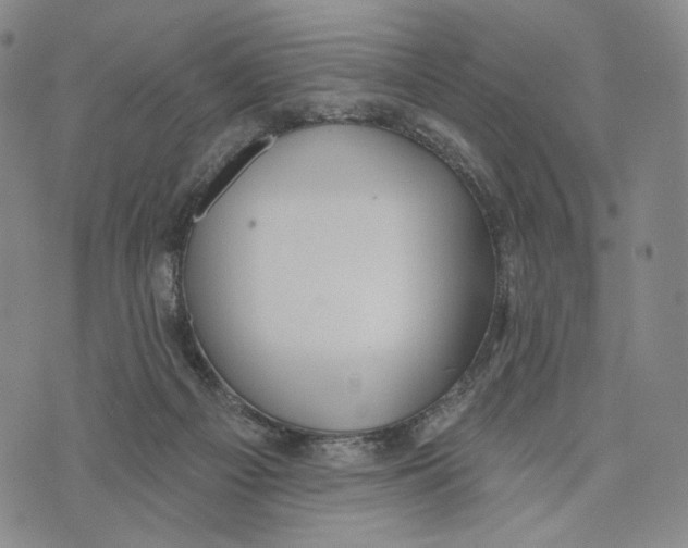 X0000073710121200608311804