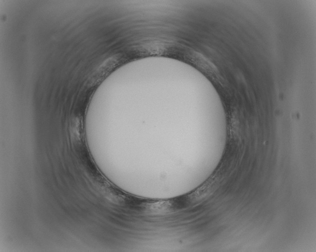 X0000073710122200608311804