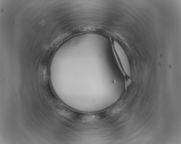 X0000073710123200608311804