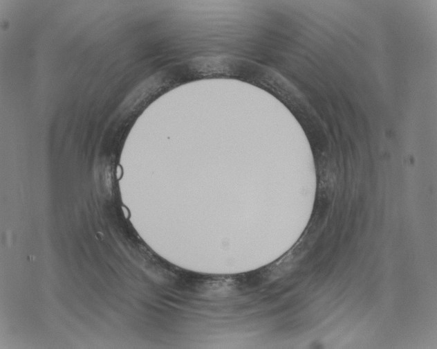 X0000073710124200608311804