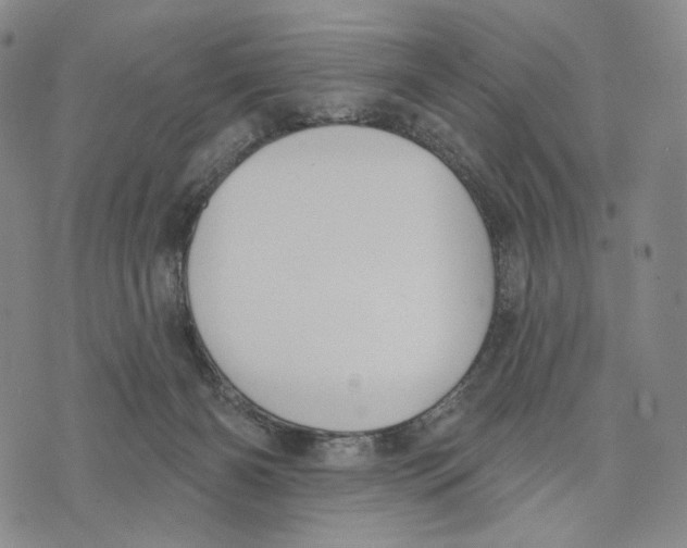 X0000073710126200608311804