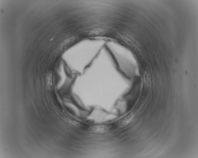 X0000073710127200608311804