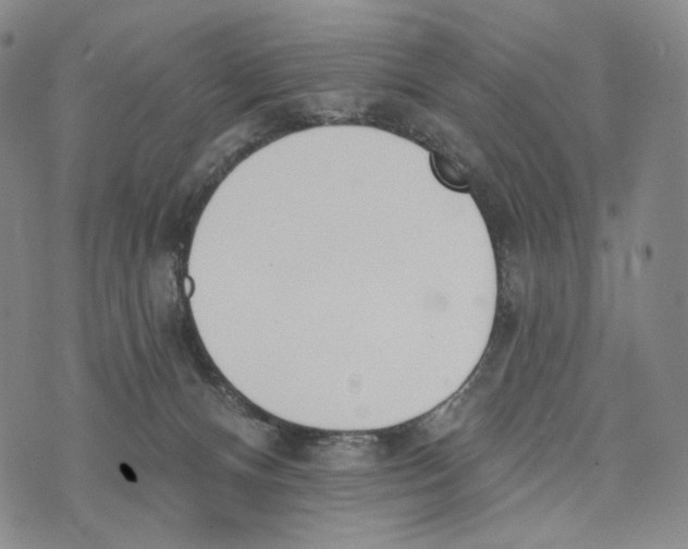 X0000073710128200608311804